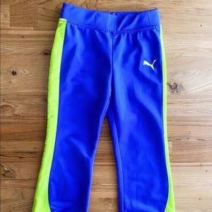 Puma 3T Tricot Joggers (Purple)